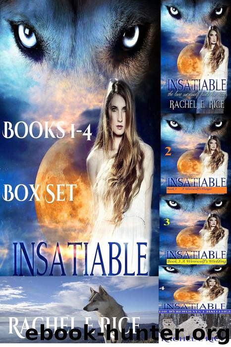 Insatiable Box Set: Books 1-4 by Rice Rachel E