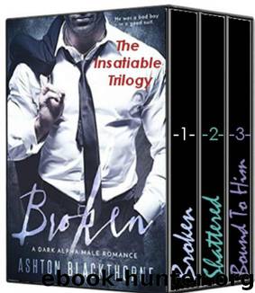Insatiable Series Box Set by Ashton Blackthorne