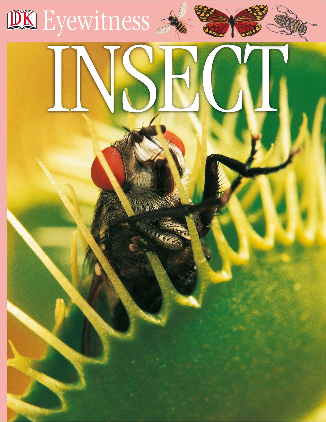 Insect (DK Eyewitness Books) by Laurence Mound