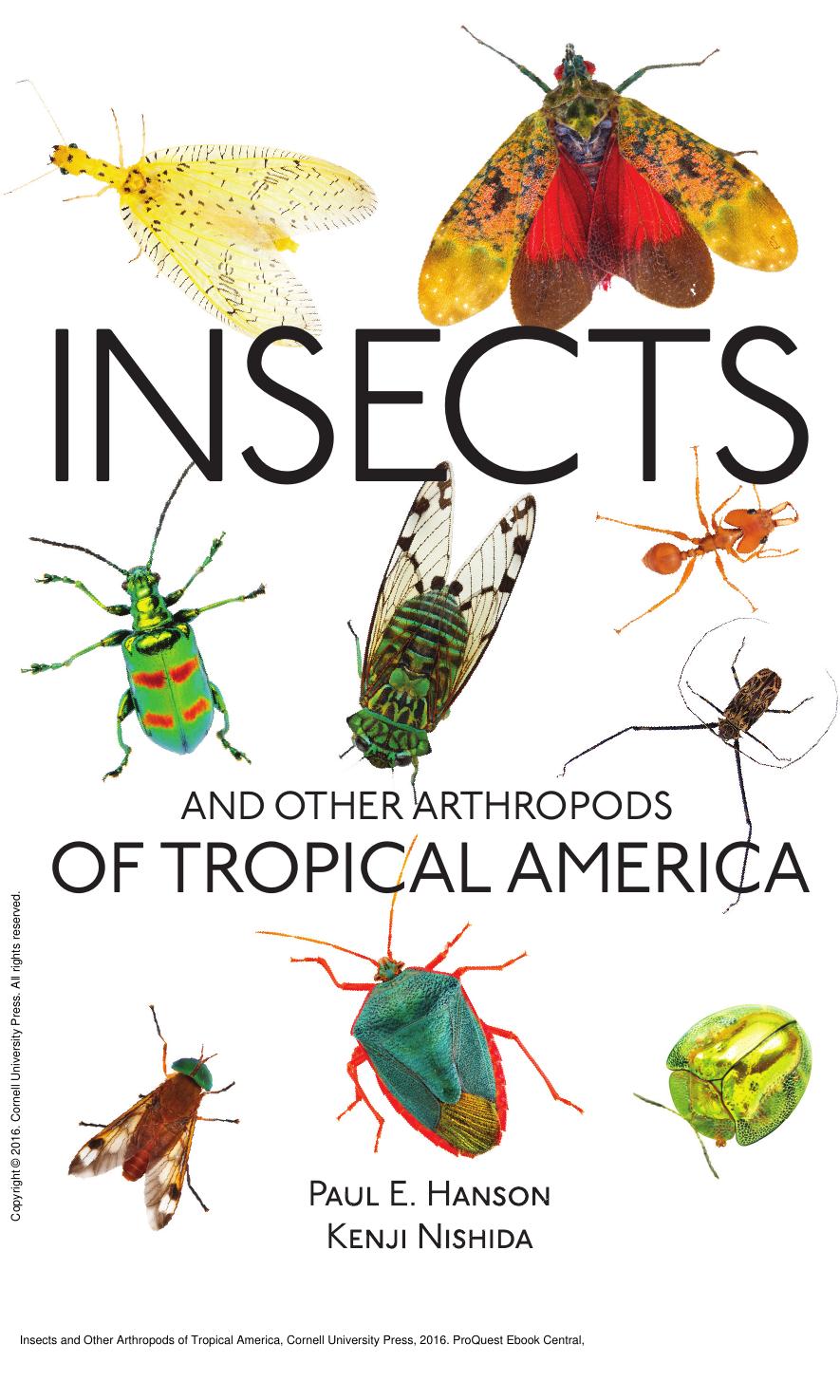 Insects and Other Arthropods of Tropical America by Paul Hanson; Kenji Nishida