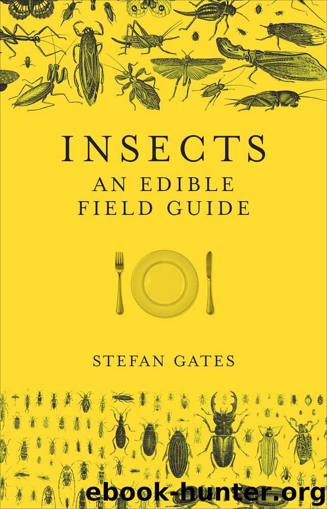 Insects by Stefan Gates