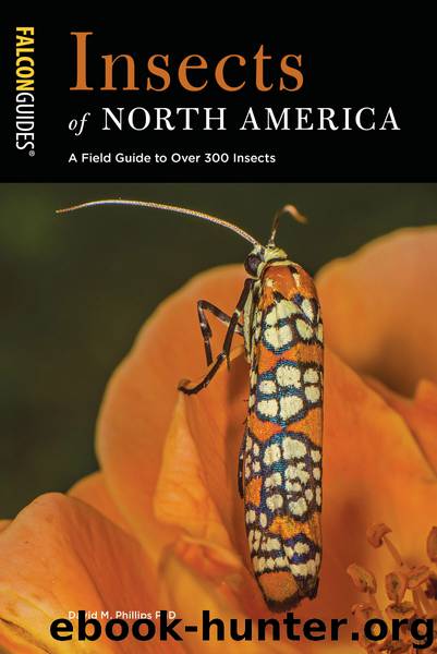 Insects of North America by David M. Phillips PhD