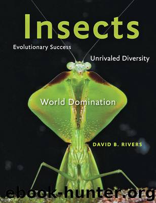 Insects: Evolutionary Success, Unrivaled Diversity, and World Domination by David B. Rivers