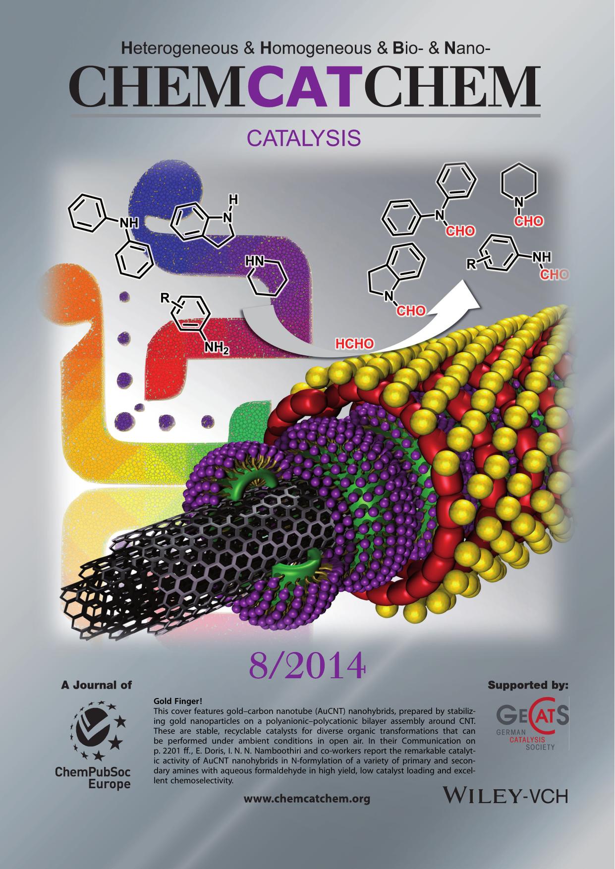 Inside Back Cover: Carbon NanotubeGold Nanohybrid Catalyzed NFormylation of Amines by using Aqueous Formaldehyde (ChemCatChem 82014) by Unknown