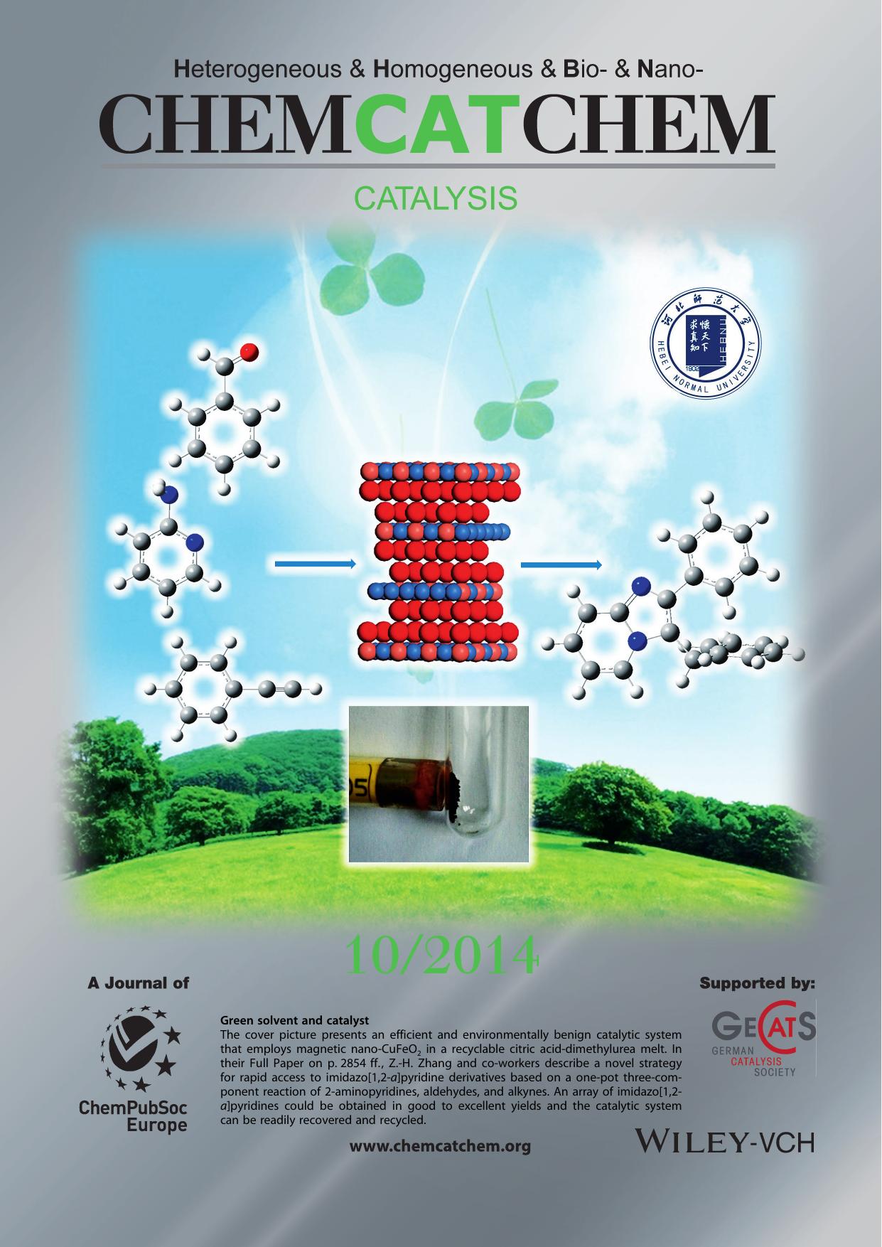 Inside Back Cover: Superparamagnetic CuFeO2 Nanoparticles in Deep Eutectic Solvent: an Efficient and Recyclable Catalytic System for the Synthesis of Imidazo[1,2a]pyridines (ChemCatChem 102014) by Unknown