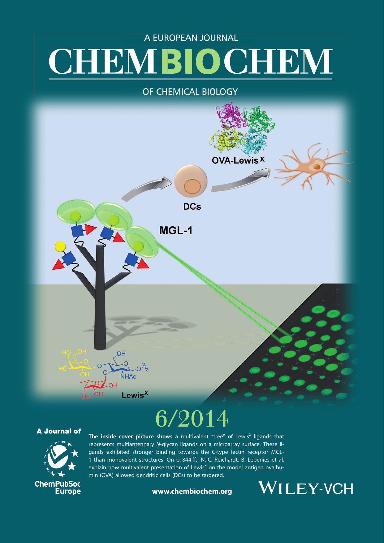 Inside Cover: Biological Evaluation of Multivalent Lewis XMGL1 Interactions (ChemBioChem 62014) by Unknown
