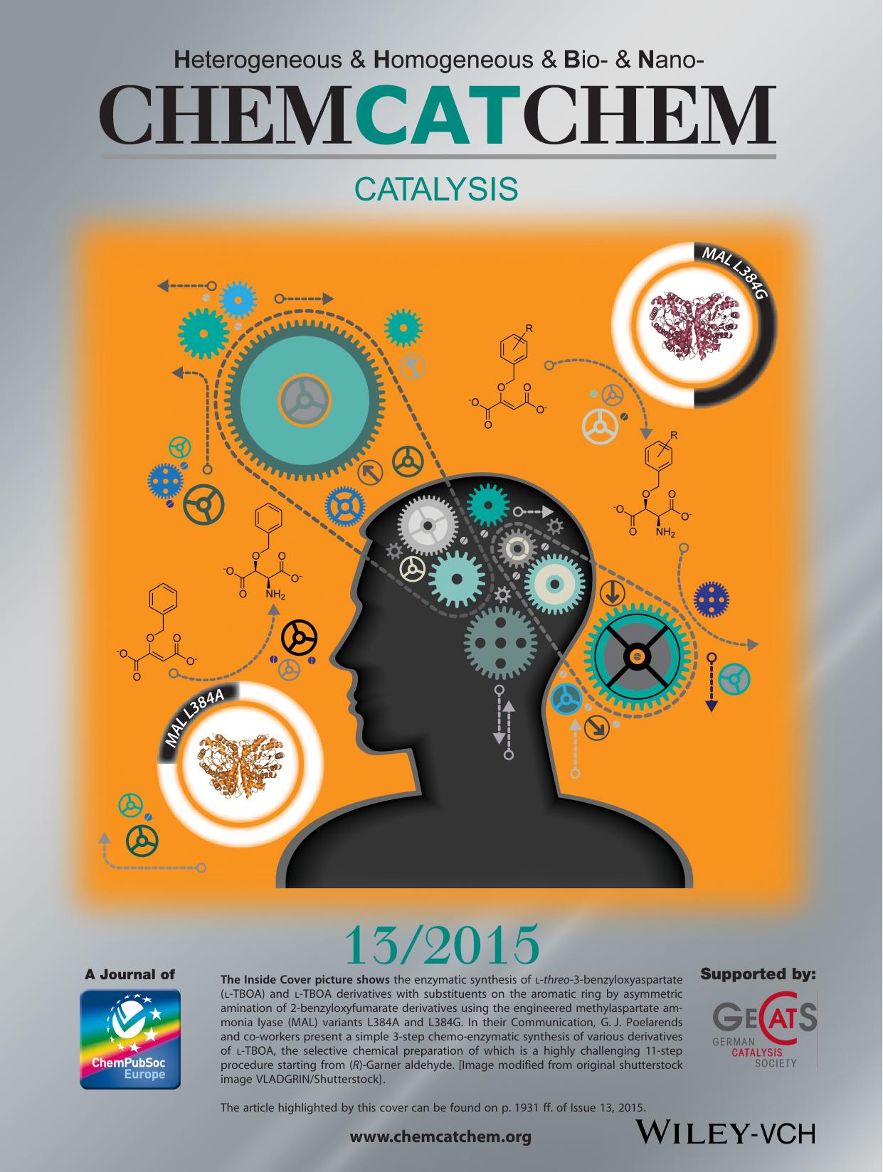 Inside Cover: Chemoenzymatic Synthesis of ortho, meta, and paraSubstituted Derivatives of Lthreo3Benzyloxyaspartate, An Important Glutamate Transporter Blocker (ChemCatChem 132015) by Unknown