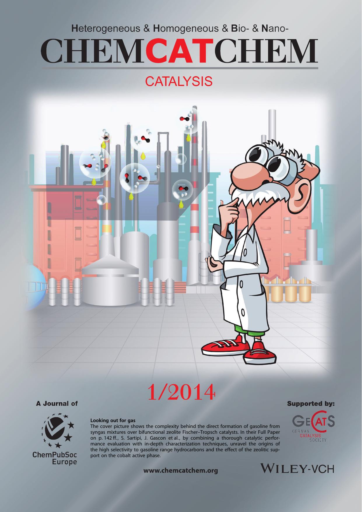 Inside Cover: Insights into the Catalytic Performance of Mesoporous HZSM5Supported Cobalt in FischerTropsch Synthesis (ChemCatChem 12014) by Unknown