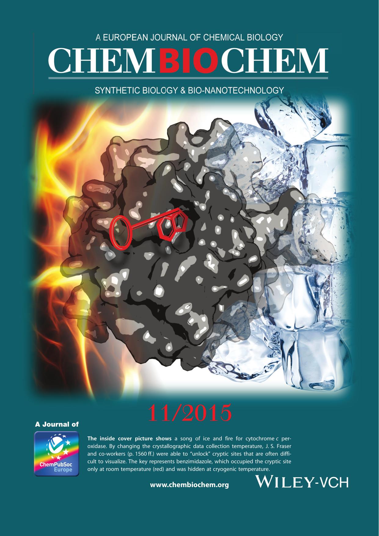 Inside Cover: One Crystal, Two Temperatures: Cryocooling Penalties Alter Ligand Binding to Transient Protein Sites (ChemBioChem 112015) by Unknown