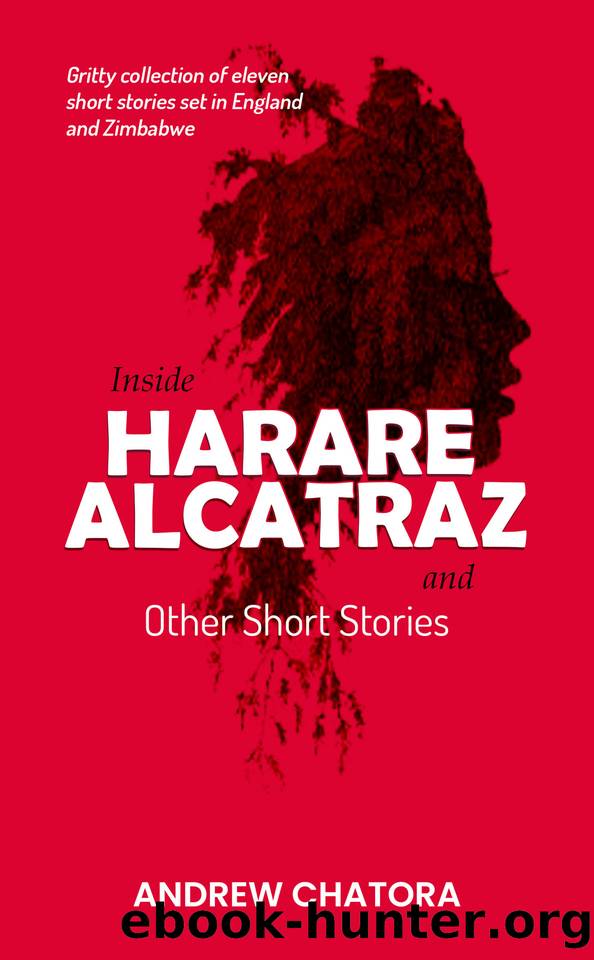 Inside Harare Alcatraz and Other Short Stories by Chatora Andrew