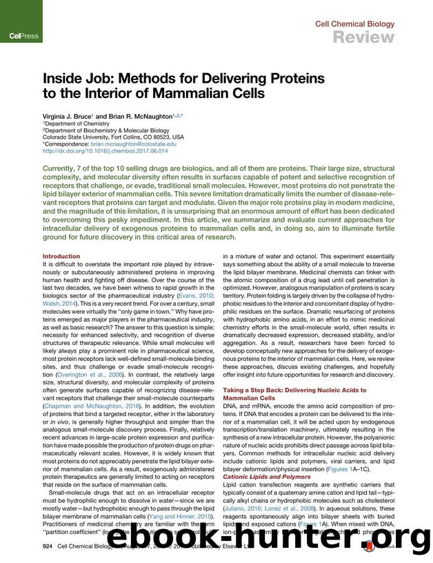Inside Job: Methods for Delivering Proteins to the Interior of Mammalian Cells by Virginia J. Bruce & Brian R. McNaughton