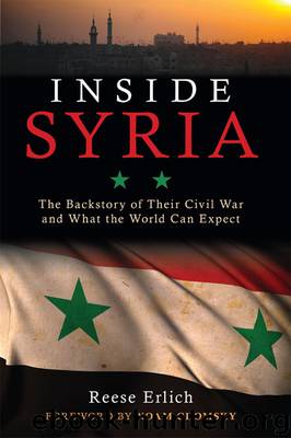 Inside Syria: The Backstory of Their Civil War and What the World Can Expect by Reese Erlich & Noam Chomsky