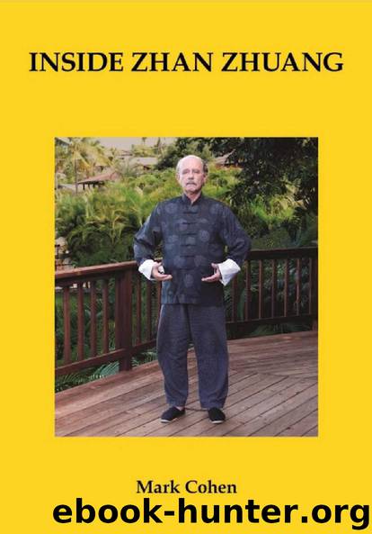 Inside Zhan Zhuang by Mark Cohen