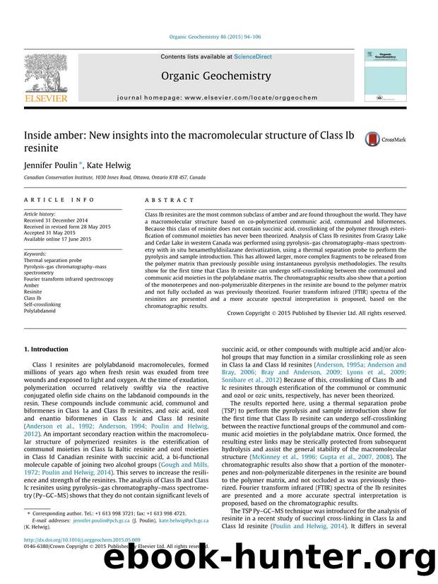 Inside amber: New insights into the macromolecular structure of Class Ib resinite by Jennifer Poulin