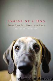 Inside of a Dog by Alexandra Horowitz