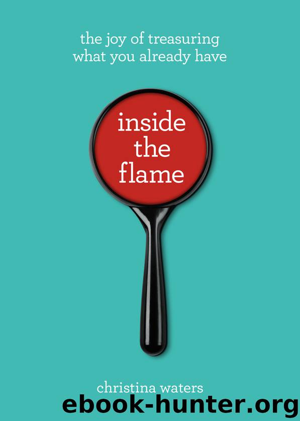 Inside the Flame by Christina Waters