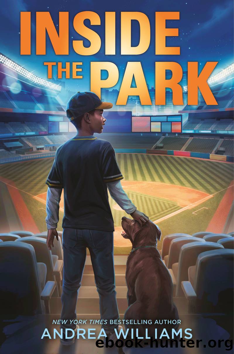 Inside the Park by Andrea Williams