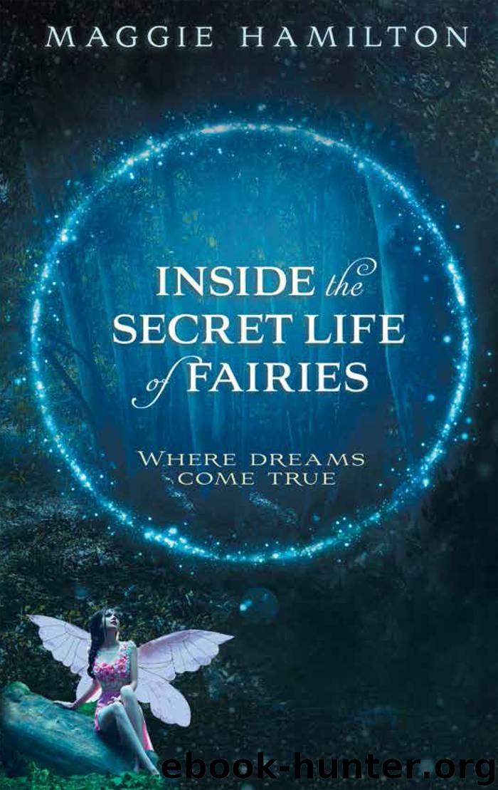 Inside the Secret Life of Fairies by Maggie Hamilton