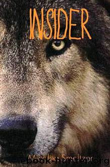 Insider (Outsider Series) by Smeltzer Micalea