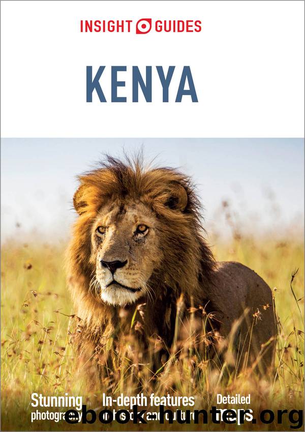 Insight Guides Kenya by Insight Guides