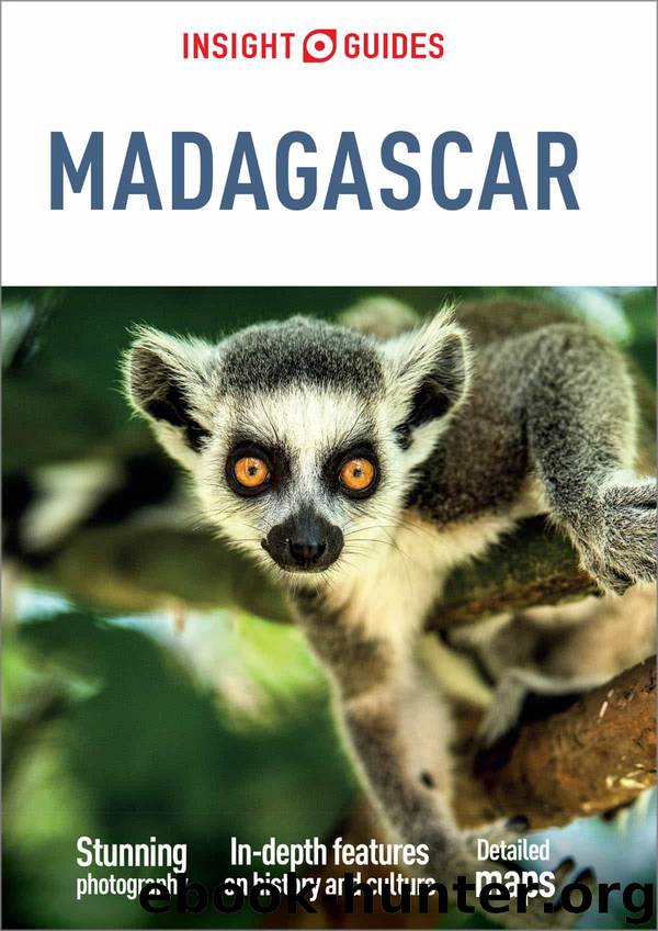Insight Guides Madagascar by Insight Guides