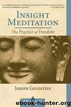 Insight Meditation by Joseph Goldstein