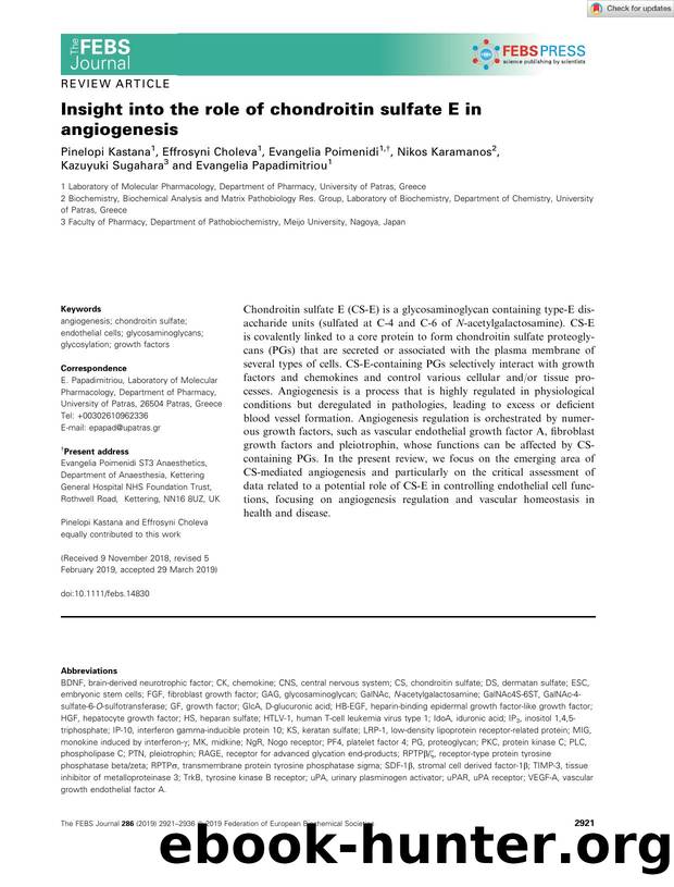Insight into the role of chondroitin sulfate E in angiogenesis by Unknown