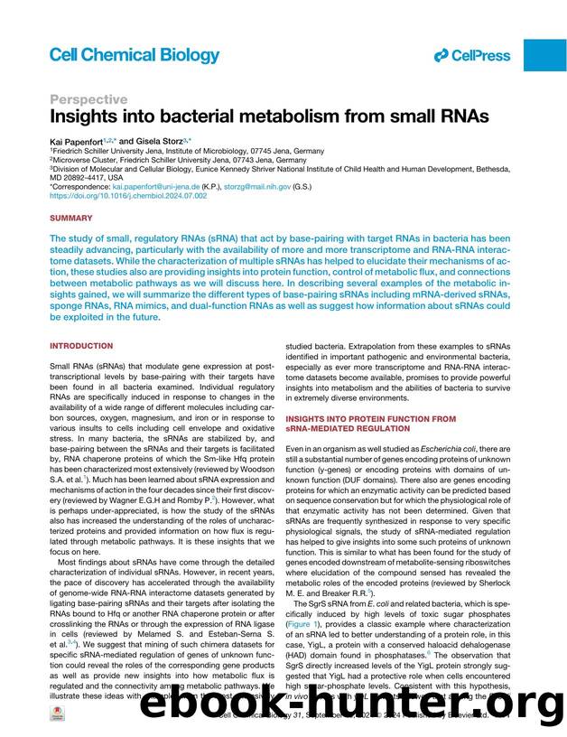 Insights into bacterial metabolism from small RNAs by Kai Papenfort & Gisela Storz