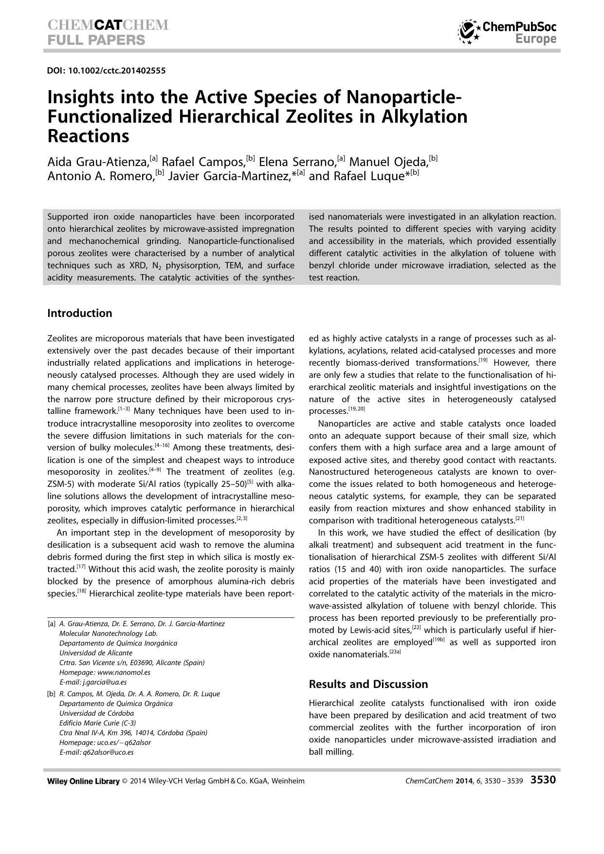 Insights into the Active Species of NanoparticleFunctionalized Hierarchical Zeolites in Alkylation Reactions by Unknown