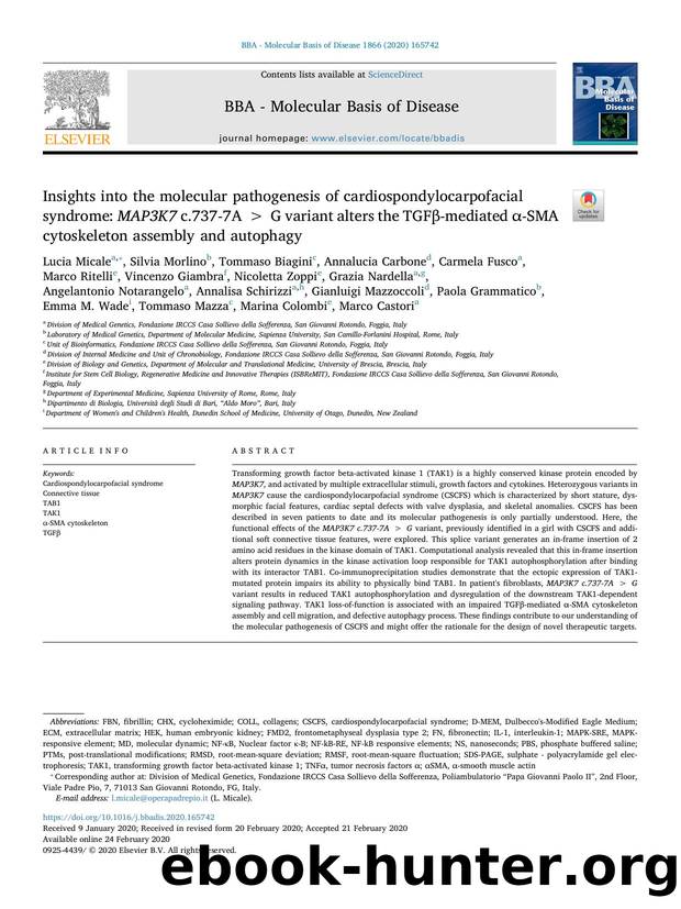 Insights into the molecular pathogenesis of cardiospondylocarpofacial syndrome_ MAP3K7 c.737-7AÂ ampgt;Â G variant alters the TGFÎ²-mediated Î±-SMA cytoskeleton assembly and autophagy by unknow