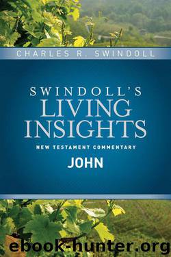 Insights on John ~ 04 Swindoll's Living Insights New Testament Commentary by Charles R. Swindoll