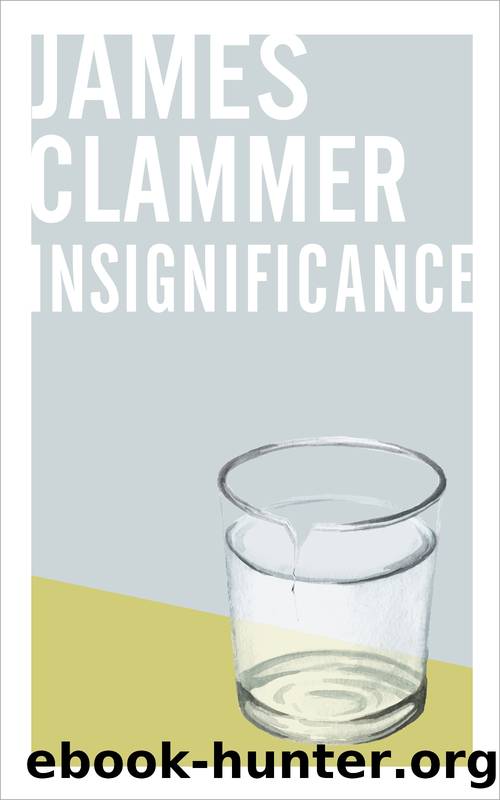 Insignificance by James Clammer