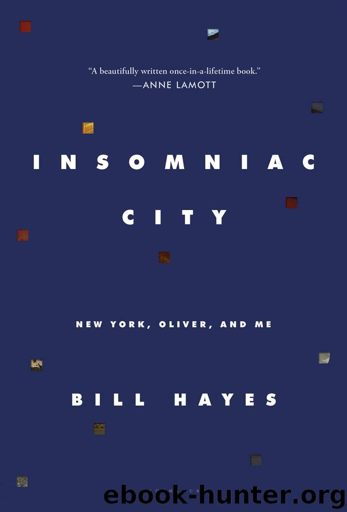 Insomniac City by Bill Hayes
