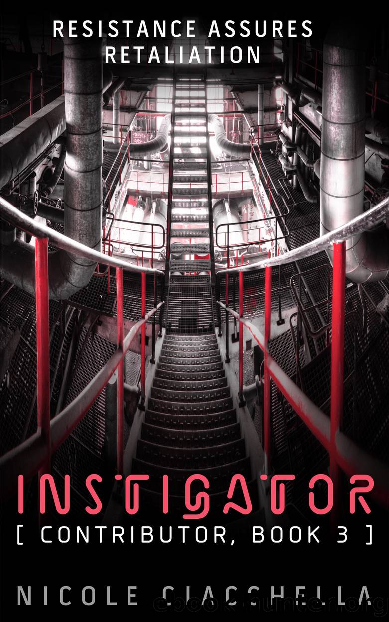 Instigator by Nicole Ciacchella