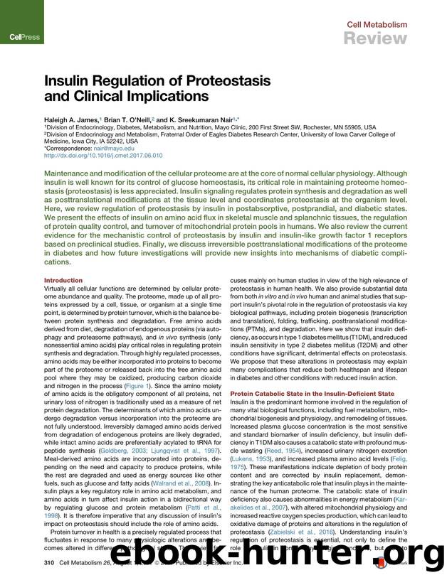 Insulin Regulation of Proteostasis and Clinical Implications by Haleigh A. James & Brian T. O'Neill & K. Sreekumaran Nair