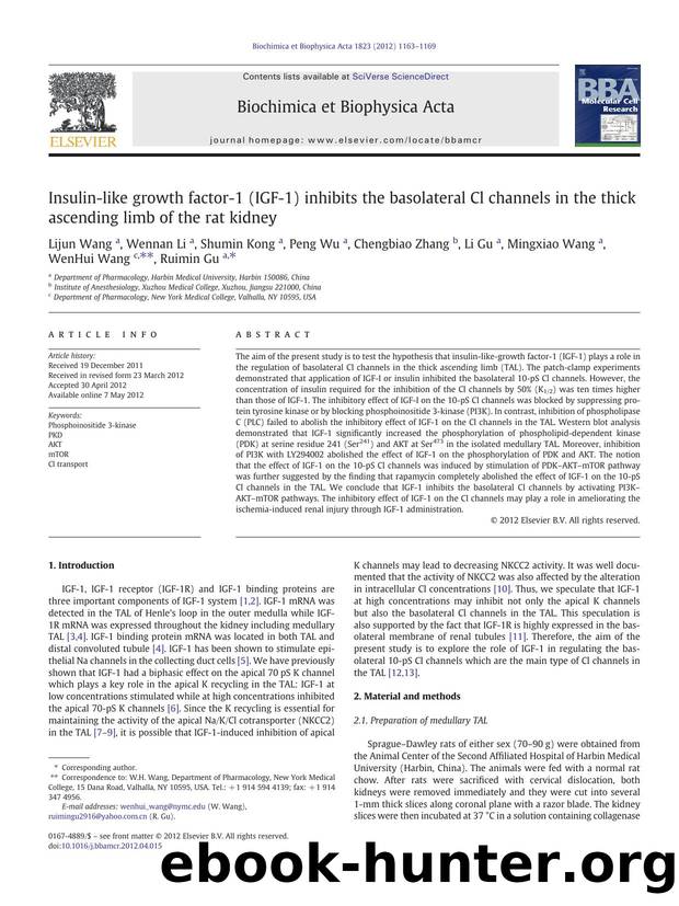 Insulin-like growth factor-1 (IGF-1) inhibits the basolateral Cl channels in the thick ascending limb of the rat kidney by unknow