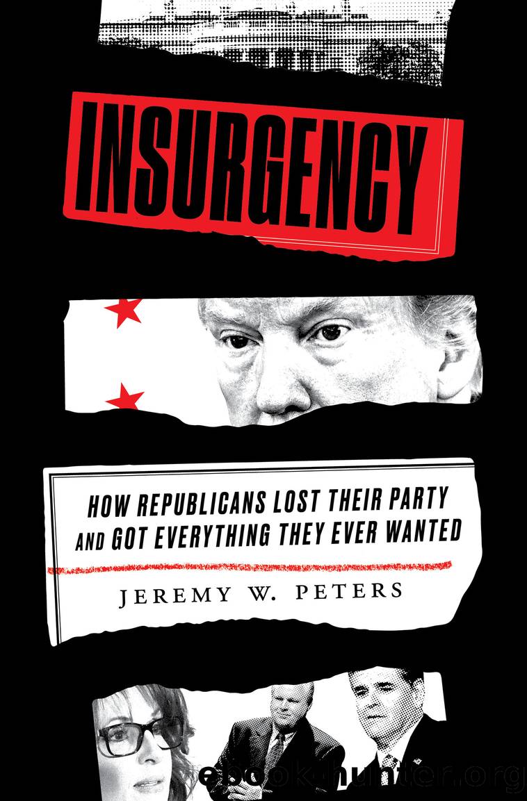 Insurgency by Jeremy W. Peters