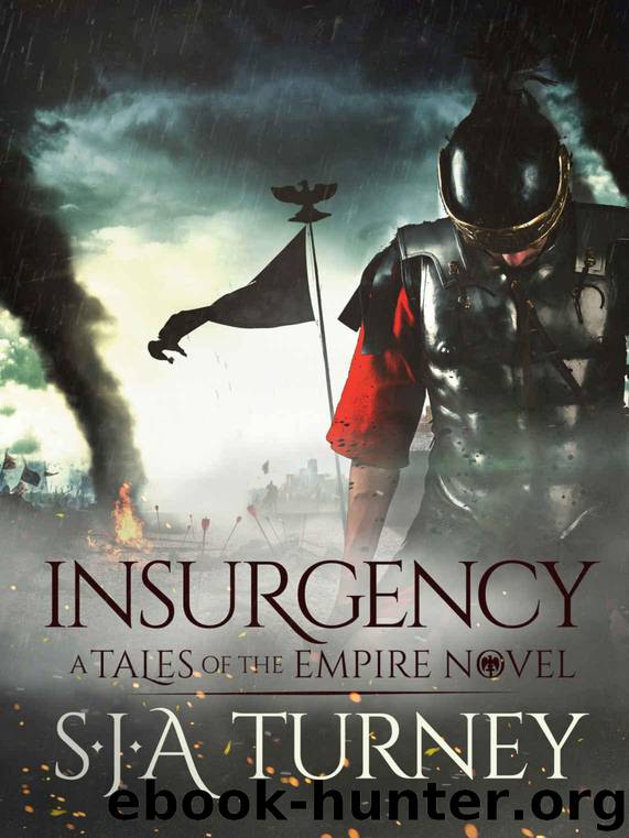 Insurgency by S.J.A. Turney