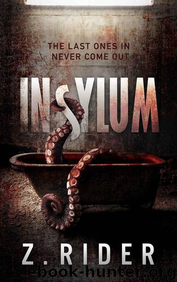 Insylum by Rider Z