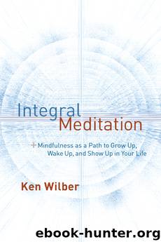 Integral Meditation by Ken Wilber