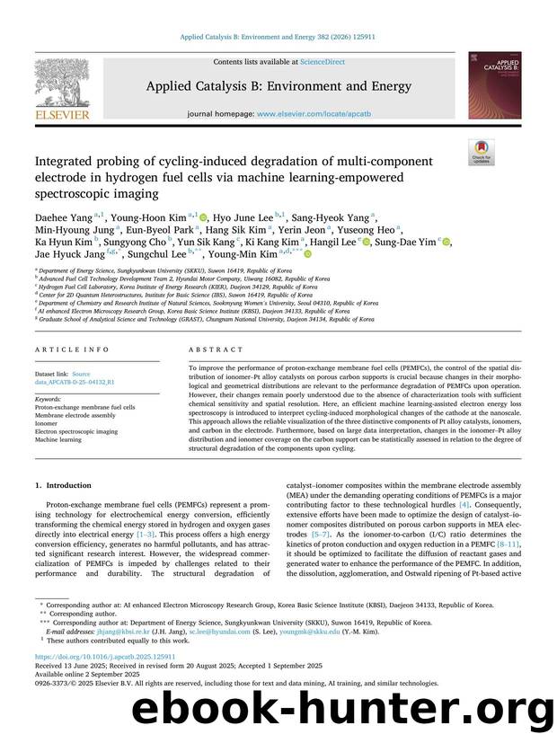 Integrated probing of cycling-induced degradation of multi-component electrode in hydrogen fuel cells via machine learning-empowered spectroscopic imaging by unknow