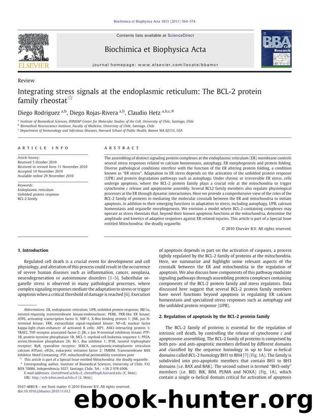 Integrating stress signals at the endoplasmic reticulum: The BCL-2 protein family rheostat by Diego Rodriguez & Diego Rojas-Rivera & Claudio Hetz