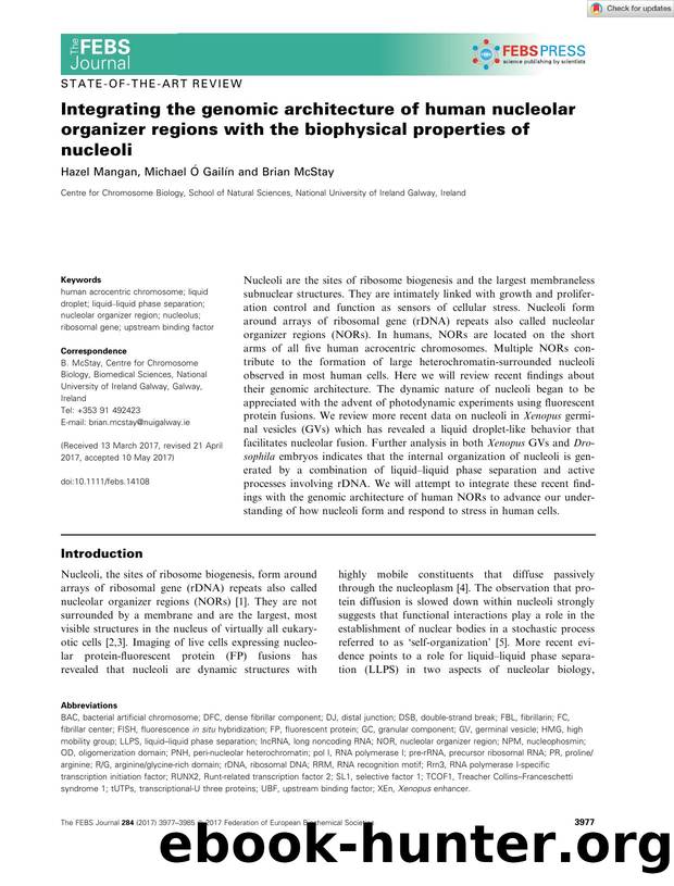 Integrating the genomic architecture of human nucleolar organizer regions with the biophysical properties of nucleoli by Unknown