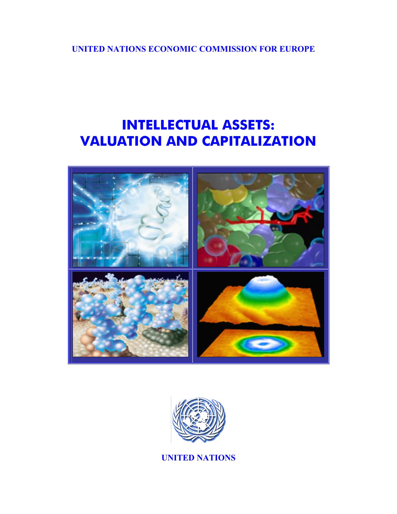 Intellectual Assets: Valuation and Capitalization (Series--Investment Promotion) by United Nations