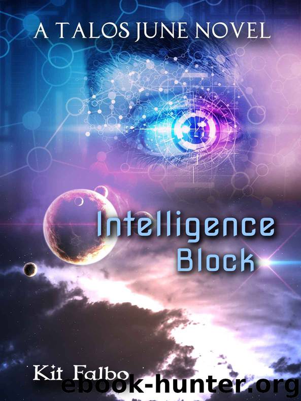 Intelligence Block by Kit Falbo