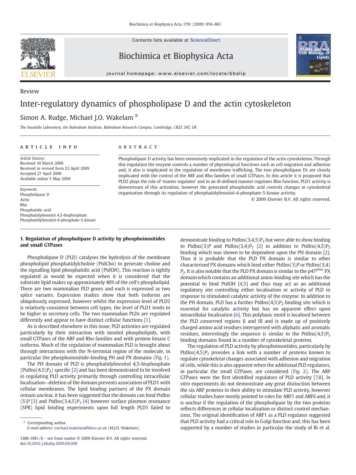 Inter-regulatory dynamics of phospholipase D and the actin cytoskeleton by Simon A. Rudge; Michael J.O. Wakelam