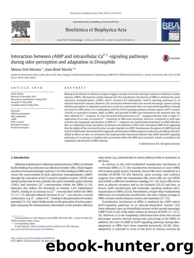 Interaction between cAMP and intracellular Ca2+-signaling pathways during odor-perception and adaptation in Drosophila by Meena Sriti Murmu & Jean-René Martin