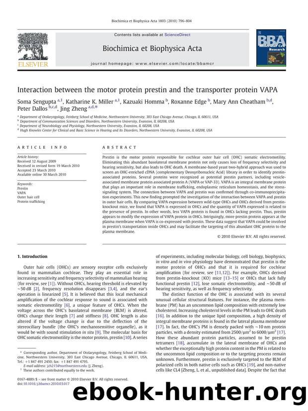 Interaction between the motor protein prestin and the transporter protein VAPA by unknow