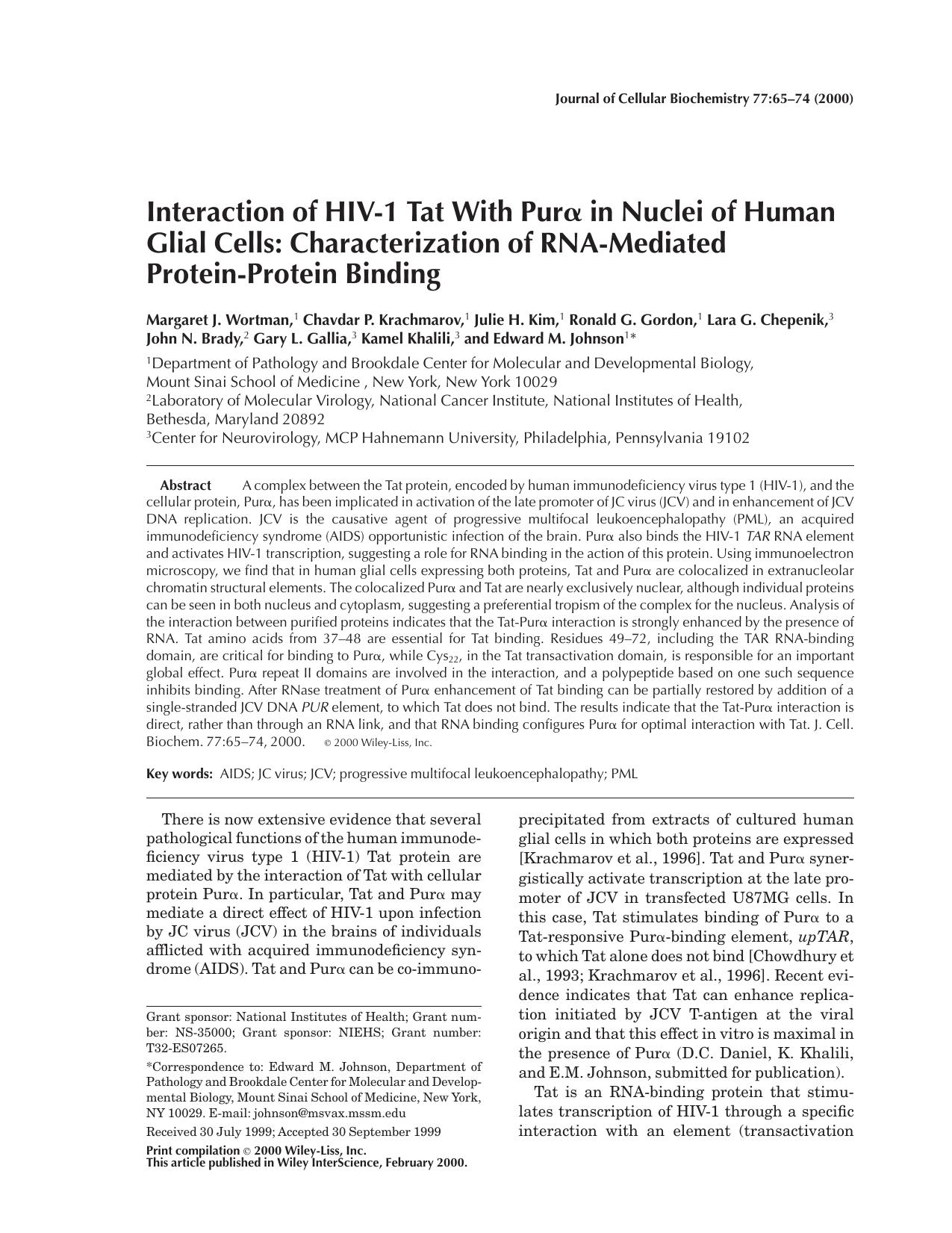 Interaction of HIV-1 Tat with Pur[agr] in nuclei of human glial cells: Characterization of RNA-mediated protein-protein binding by Unknown