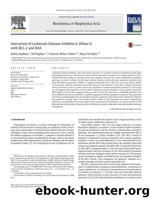 Interaction of Leukocyte Elastase InhibitorL-DNase II with BCL-2 and BAX by Imène Jaadane & Atf Nagbou & Francine Behar-Cohen & Alicia Torriglia